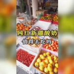 娱乐吃瓜设计,吃瓜群众必看的幕后故事