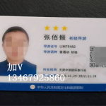 导游证,开启旅游行业新篇章的钥匙