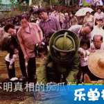 娱乐吃瓜群众2,揭秘娱乐圈背后的秘密与八卦