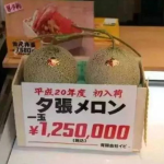 娱乐吃瓜酱礼金,揭秘娱乐圈背后的神秘交易