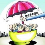 社保和养老保险有什么区别,本质区别与参保要点解析