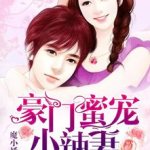 娱乐吃瓜酱妻子小说阅读,妻子背后的爱情故事