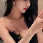 瑞士国家简介概况和朋友在越南边境女