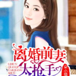 婚缠不休:前妻太抢手,婚缠不休的甜蜜纠葛