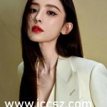 娱乐圈吃瓜爆料于文文