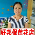厦门保姆大本营